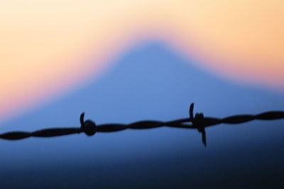 Close-up of barbed wire