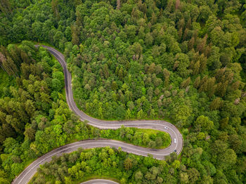 Aerial view of winding road in high mountain pass trough dense green pine woods.