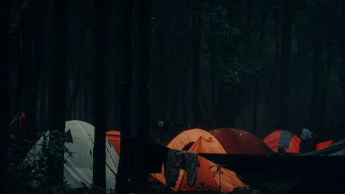 View of tent in forest at night