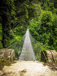 Footbridge in forest