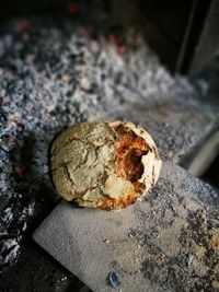 High angle view of bread on rock