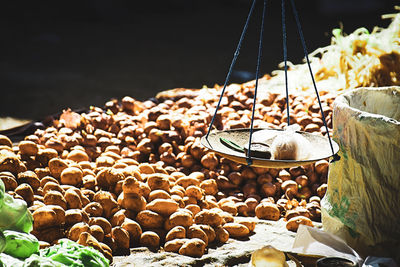 Close-up of shells in plate on table