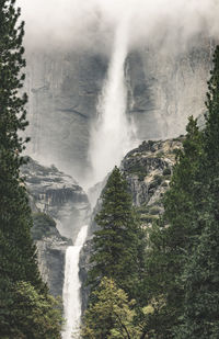 Scenic view of waterfall in forest