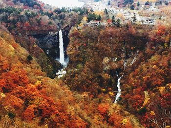 Scenic view of waterfall in forest during autumn