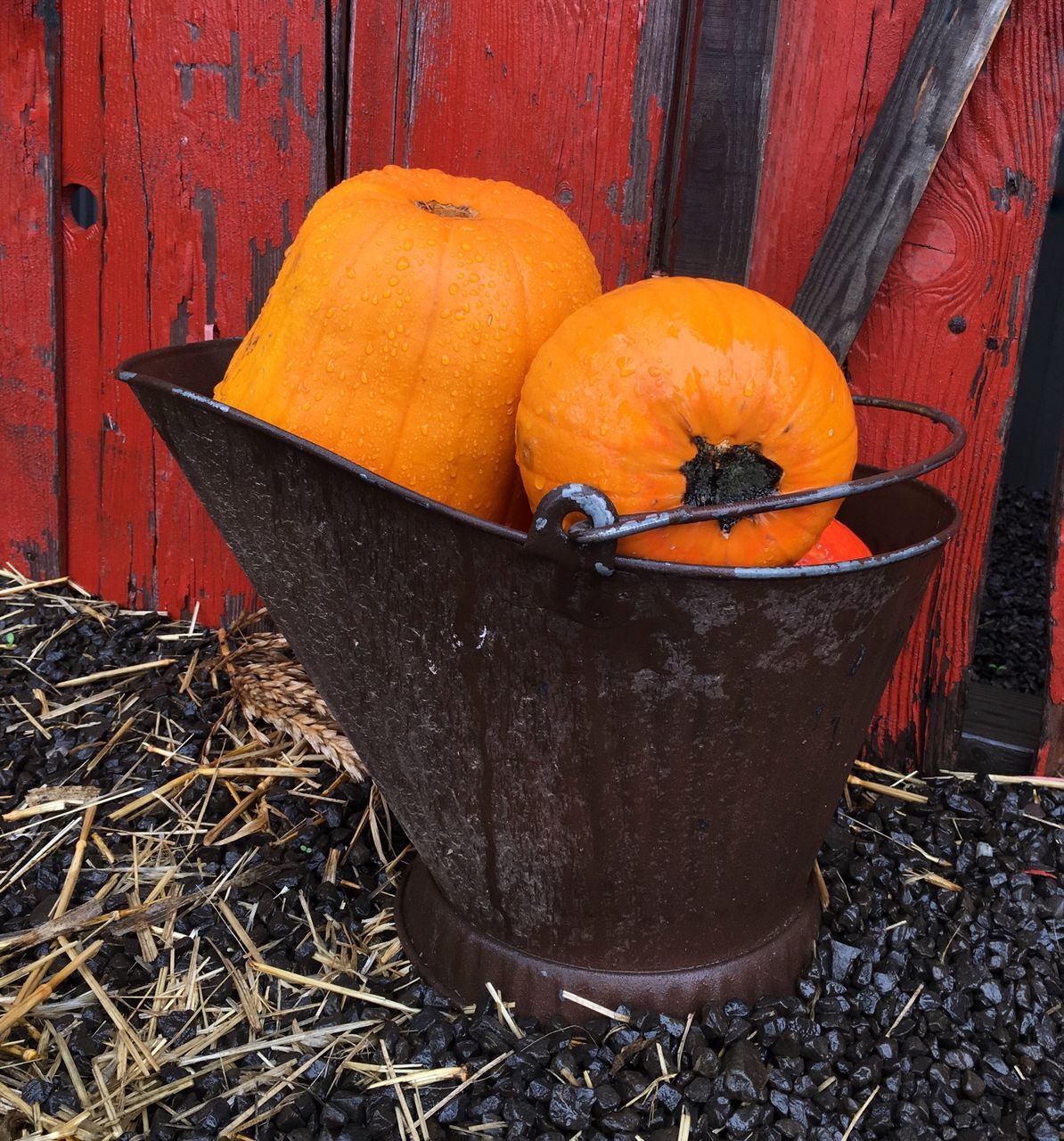 wood - material, orange color, food and drink, close-up, still life, red, no people, high angle view, outdoors, healthy eating, day, wooden, container, pumpkin, old, yellow, rusty, food, table