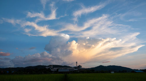 Scenic view of field against sky during sunset