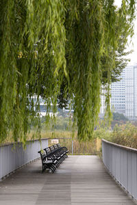 Empty bench in park