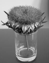 Close-up of flower on table