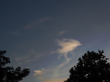 Low angle view of silhouette tree against sky