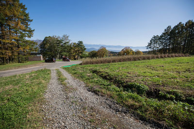 Road amidst trees on field against clear sky