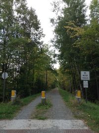 Empty road with trees in background