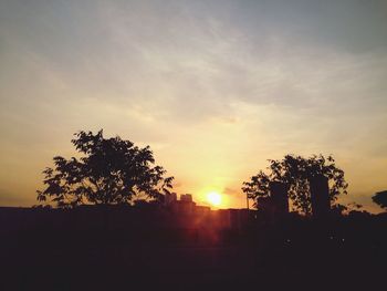 Silhouette of trees at sunset