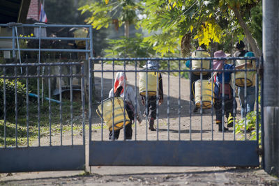 Rear view of farmers carrying baskets on road seen through closed gate