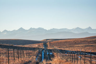 Scenic view of field against clear sky