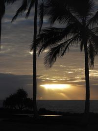 Silhouette palm tree by sea against sky during sunset