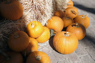 High angle view of pumpkins during autumn