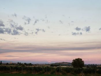 Scenic view of field against sky during sunset