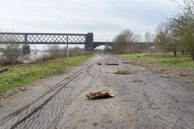 A dirt bike path on the banks of a river in western germany after a flood, tree branches.