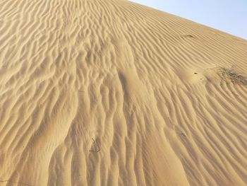 Sand dune in desert against sky