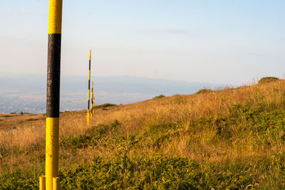 Row of marker pillars of the winter trail to highest point of vitosha mountain.