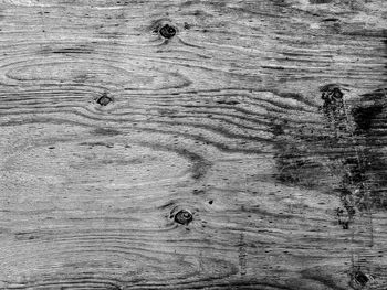 High angle view of weathered wooden plank