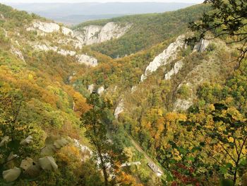 High angle view of trees and mountains during autumn