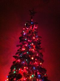 Low angle view of illuminated christmas tree at night