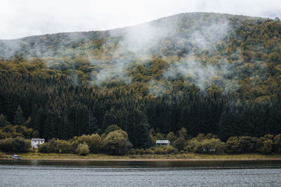 Scenic view of lake in forest against sky