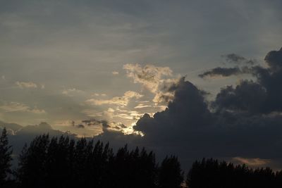 Low angle view of silhouette trees against sky