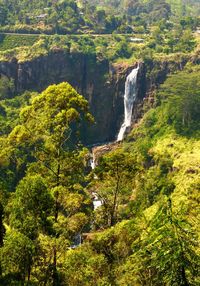 Scenic view of waterfall in forest