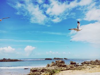 Airplane flying over sea against sky