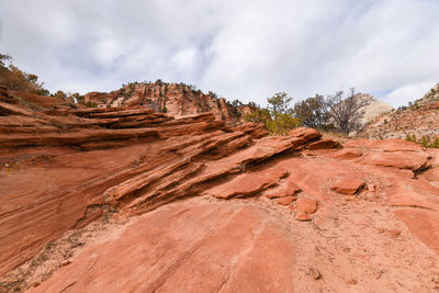 The martian like landscape of zion national park