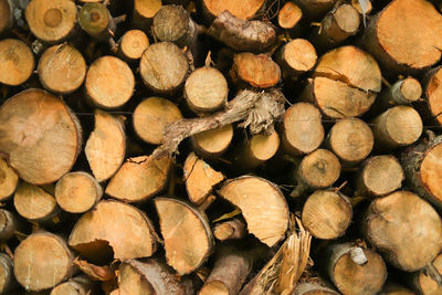 Full frame shot of logs