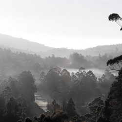 Scenic view of trees and mountains against sky