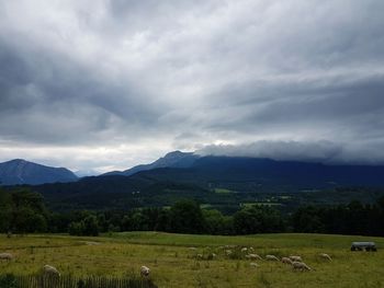 Scenic view of landscape against sky