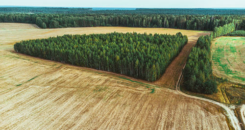 Scenic view of agricultural field