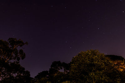 Low angle view of trees against sky at night