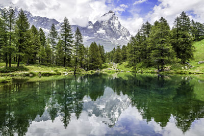 Reflection of trees in lake against sky