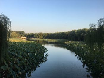 Scenic view of lake against clear sky