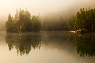 Scenic view of lake by trees against sky