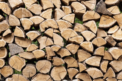 Full frame shot of logs in forest