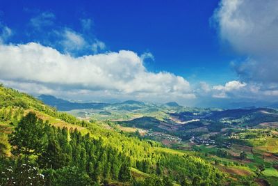 Scenic view of vineyard against cloudy sky