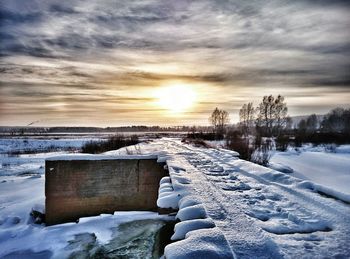 Bare trees on snow covered field
