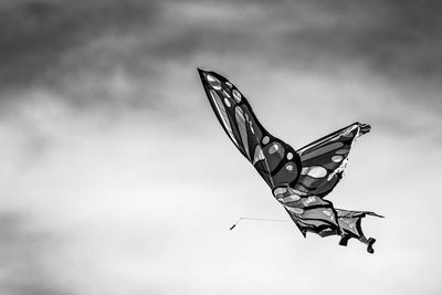 Low angle view of butterfly flying