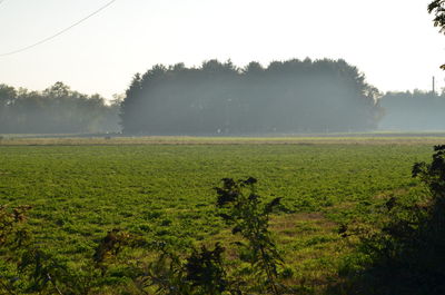 Scenic view of field against clear sky