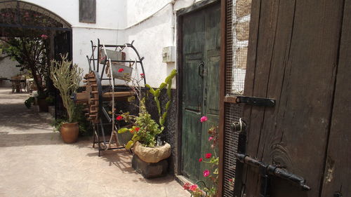 Potted plants by house on sunny day