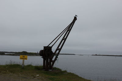 Reflection of trees in water