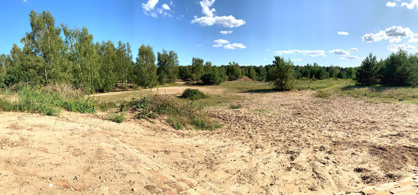 Panoramic shot of trees on field against sky