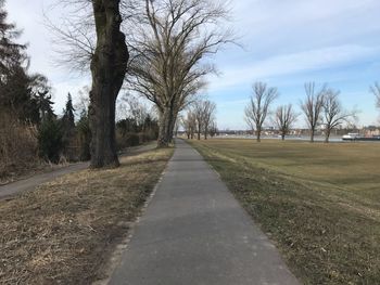 Road amidst bare trees against sky