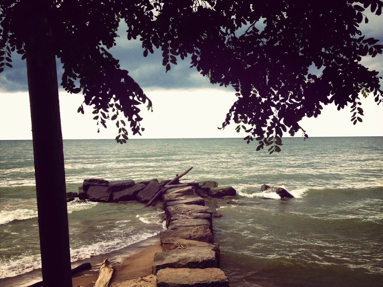 sea, horizon over water, water, tranquility, tranquil scene, beach, tree, scenics, beauty in nature, tree trunk, nature, shore, sky, branch, idyllic, rock - object, clear sky, outdoors, growth, no people